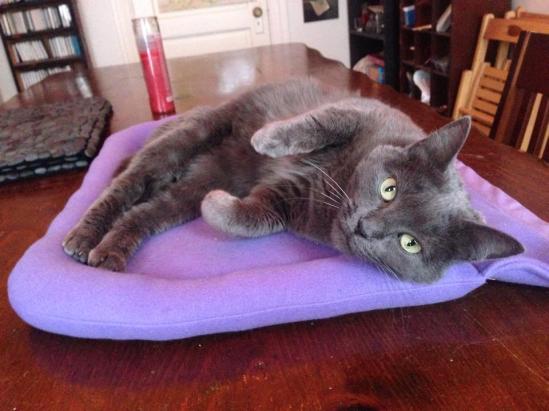 1391916_10202610786925122_728082982_n